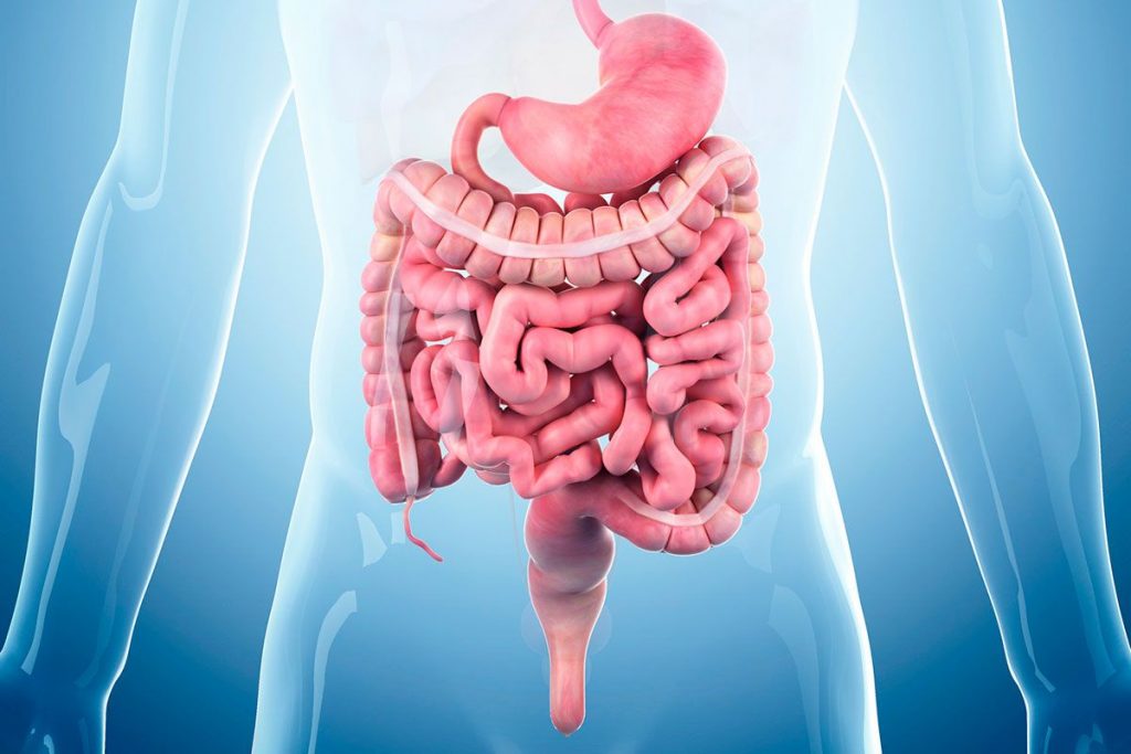 Bệnh viêm ruột là bệnh phổ biến