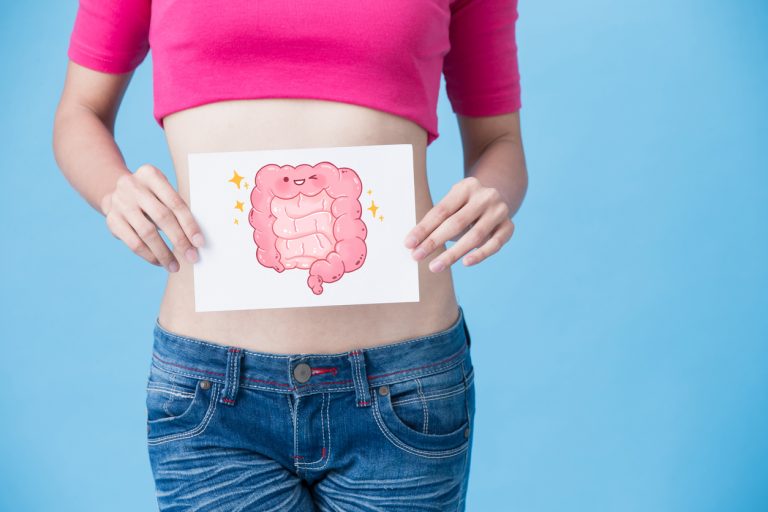 Ruột và dạ dày có vai trò như thế nào trong hệ tiêu hóa