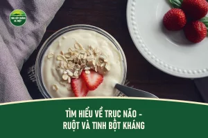 Bát sữa chua với yến mạch và dâu tây tươi, bữa sáng lành mạnh giàu chất xơ và tinh bột kháng, ánh sáng tự nhiên