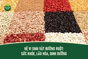 Đậu đỏ, đậu đen, đậu trắng và ngũ cốc khô xếp đa màu, thể hiện nguồn chất xơ tốt cho hệ vi sinh vật đường ruột.